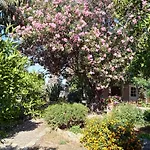 Alegria House With Gardens Near Portoheli Kranidi