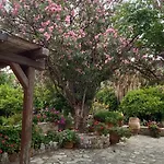度假居 Alegria House With Gardens Near Portoheli 克兰尼蒂