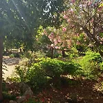 度假居 Alegria House With Gardens Near Portoheli