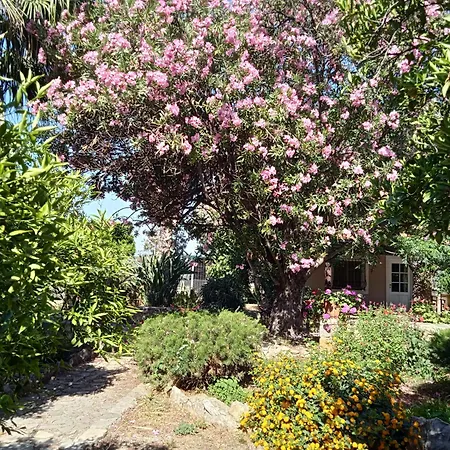 Alegria House With Gardens Near Portoheli 克兰尼蒂