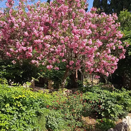 Alegria House With Gardens Near Portoheli كرانديون