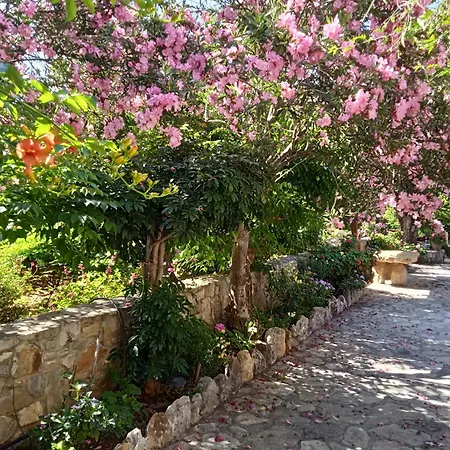 Alegria House With Gardens Near Portoheli Holiday home *