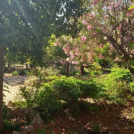 Holiday home Alegria House With Gardens Near Portoheli