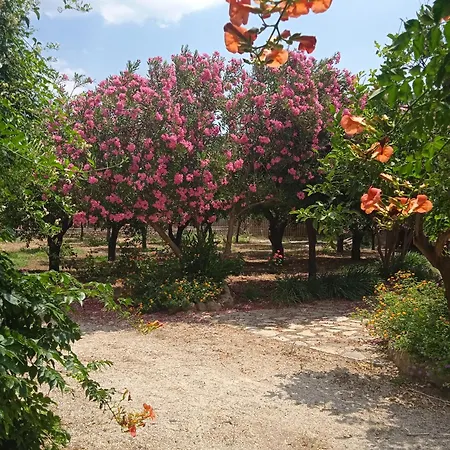 Tatil Evi Alegria House With Gardens Near Portoheli *