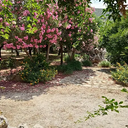 Alegria House With Gardens Near Portoheli Kranidi