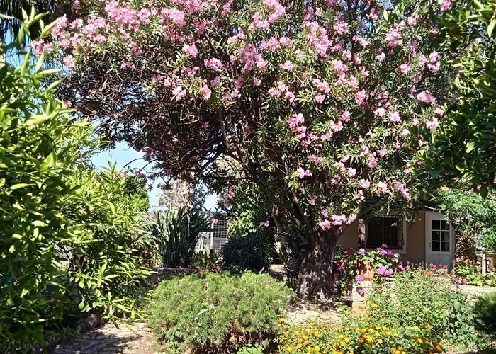 Alegria House With Gardens Near Portoheli Кранидион