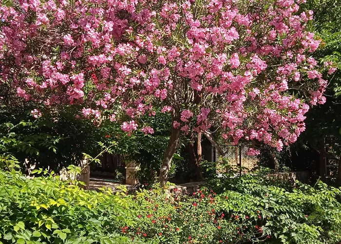 Alegria House With Gardens Near Portoheli Кранидион