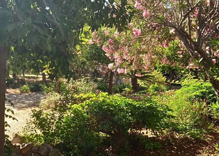 Дом отдыха Alegria House With Gardens Near Portoheli